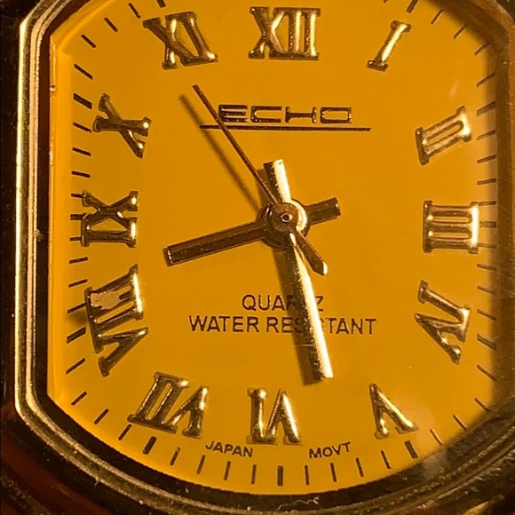 ECHO NWOT water resistant stainless leather strap main image 10
